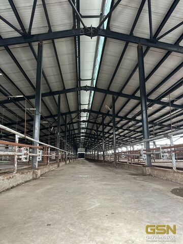 BALIKESİR BANDIRMA DEDEOBA KÖYÜNDE SATILIK RUHSATLI FAAL BESİ ÇİTFLİĞİ